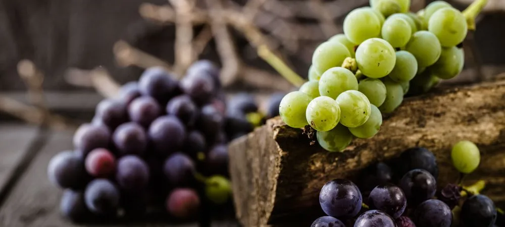 Numerous Advantages Grapes Have For Men’s Health.