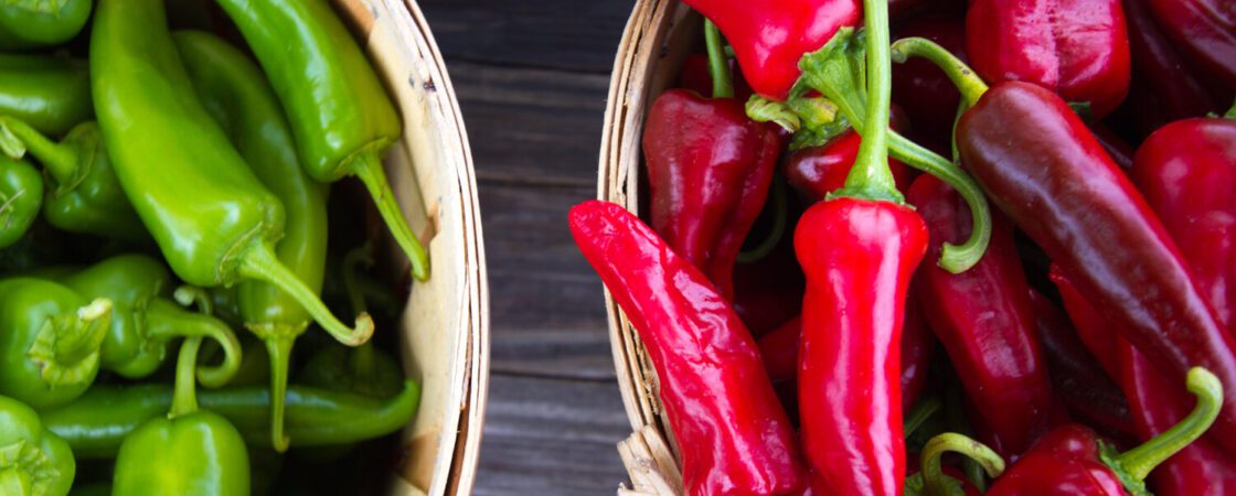 What Is The Difference Between Green Chiles And Hatch Chiles?