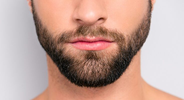 Transforming Faces: The Power of Beard Transplantation