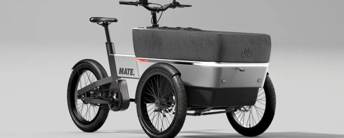 Electric Cargo Bicycle market