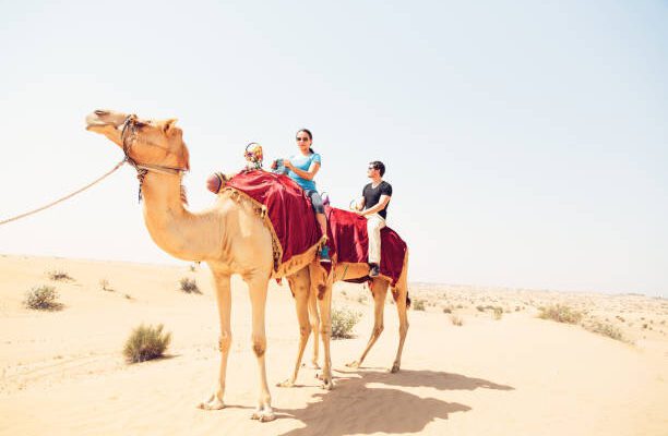 things to do in Dubai today