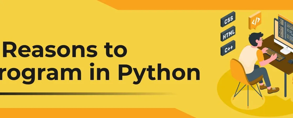 what are python basics?