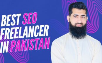 Best SEO Freelancer in Pakistan
